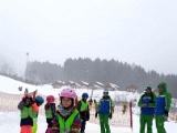 IMG-20190102-WA0035