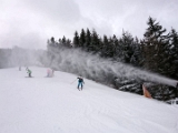 IMG-20190105-WA0076
