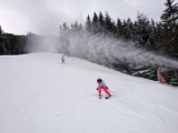 IMG-20190105-WA0078