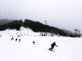 IMG-20190105-WA0096