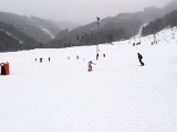 IMG-20190105-WA0108