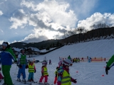Volle  Auflösung  A736328