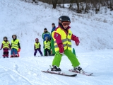 Volle  Auflösung  A736398