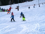 Volle  Auflösung  A736482
