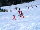 Volle  Auflösung  A736486