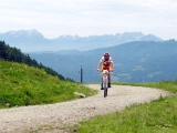 Berglauf-Radfahrer-Nr.229 (1)