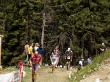 MBL2014 (1067)