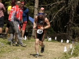 MBL2014 (1104)