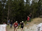 MBL2014 (1193)