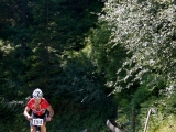 MBL2014 (217)