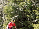 MBL2014 (272)