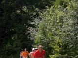MBL2014 (359)