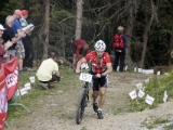 MBL2014 (499)