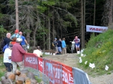 MBL2014 (517)