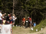 MBL2014 (790)