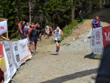 MBL2014 (908)