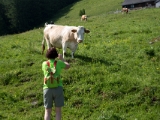 Mugellauf 2015  Mugellauf WSV Niklasdorf 2015