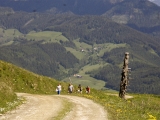 DSC1854