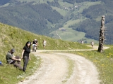 DSC1894