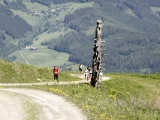 DSC1951