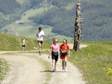 DSC1986