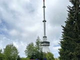 IMG 0590