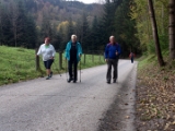 Nordic Walking