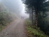 DSC 0187