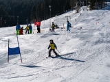 Volle  Auflösung  A736798